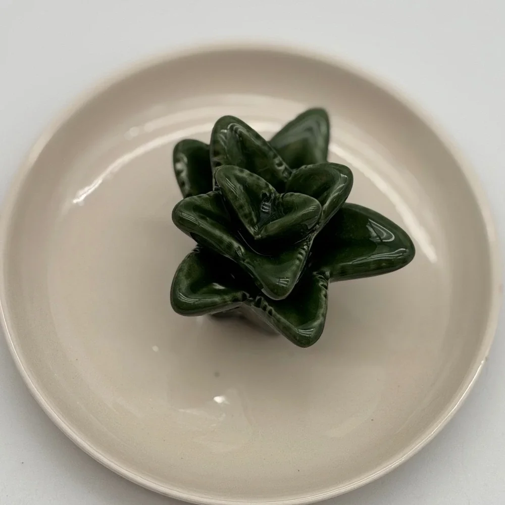 Room 2 Room Succulent Ring Dish Ceramic Green Cream Jewelry Trinket Tray 5x3in